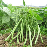 Другие цвета