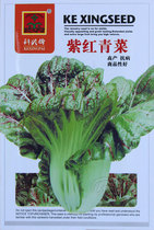 Four seasons sowing green vegetables seeds seeds Chinese cabbage vegetables southern balcony rapeseed potted vegetables seed autumn