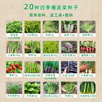 20 видов наборов семян овощностей+инструменты+2 упаковки удобрений