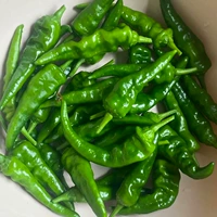 Shouhe Zhangshugang Pepper Seartings 6