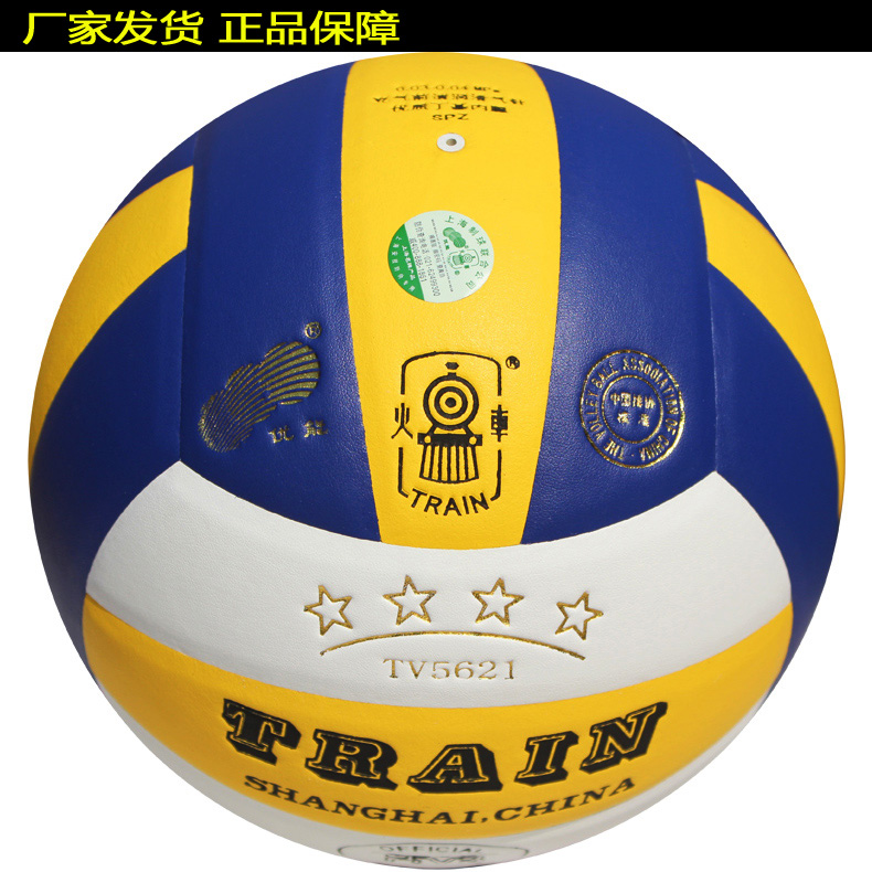 Ballon de volley-ball TRAIN - Ref 2007917 Image 11