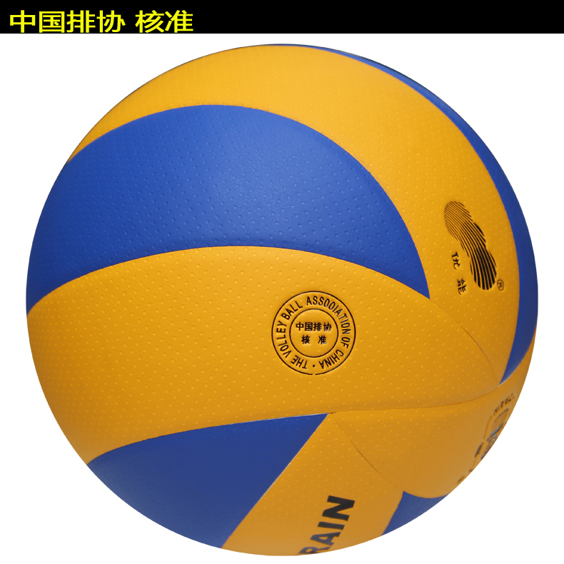 Ballon de volley-ball TRAIN - Ref 2007917 Image 7