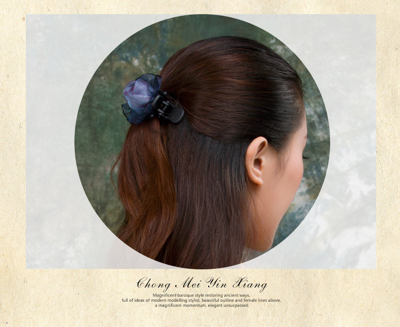 Accessoire cheveux - Ref 1199961 Image 13