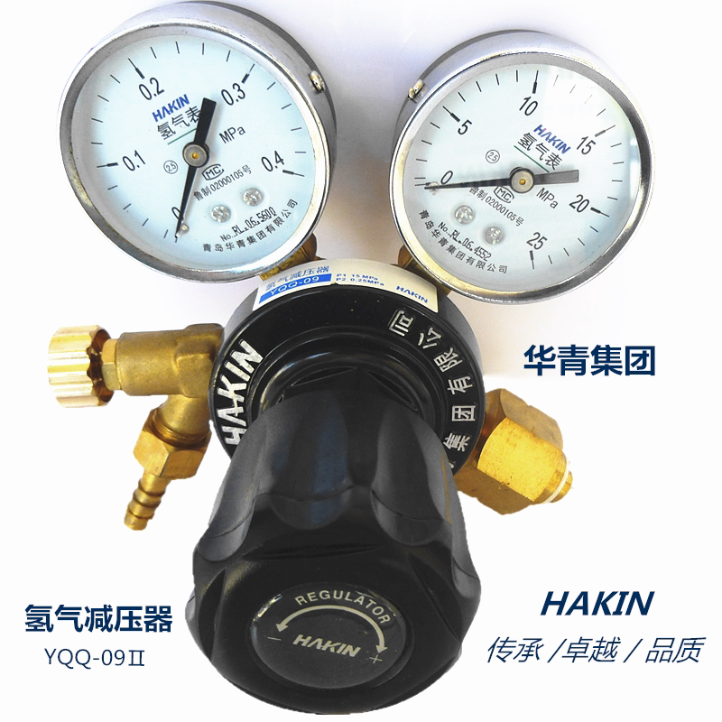 W21 8 Hydrogen gas cylinder pressure gauge pressure pressure pressure pressure pressure pressure pressure pressure pressure gauge of Huaqing YQQ-09II double head high of 25 out 0 4MPa