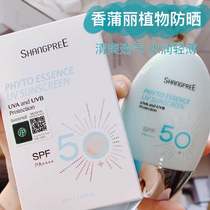 South Korea shangpree fragrant pulai sunscreen for facial anti-UV isolation clear and ungreasy 60ml