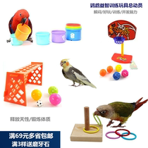 Parrot educational toy training small and medium intellectual development biting ring basketball basket desktop equipment bird supplies