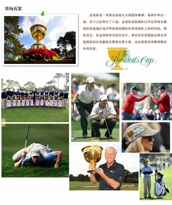 Sac de golf - Ref 37267 Image 11