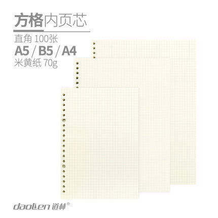 Daolin inner page core A4B5A5 square grid 100 double-sided grid right-angle drawing design notebook loose-leaf core