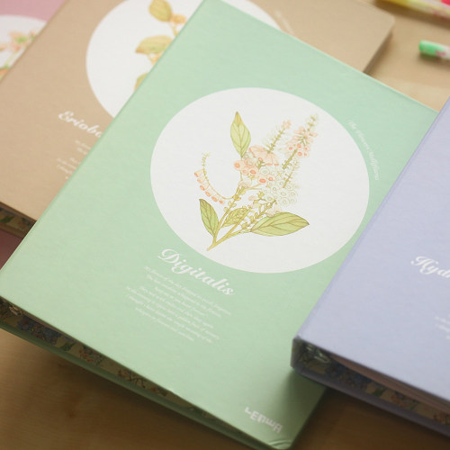 Lionghua loose-leaf version of this flower in English B5 26 holes live page clip hard leather Van Gogh A5 20 holes notebook