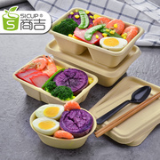 hộp cơm giữ nhiệt hàn quốc Hộp cơm trưa có thể phân hủy Shangji Hộp ăn trưa Hộp giấy xanh dùng một lần Takeaway Hộp hình chữ nhật - Hộp cơm điện sưởi ấm nồi ủ cơm văn phòng