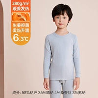 DN659 Shell Grey (теплый имбирный нагрев черной технологии с шелком)