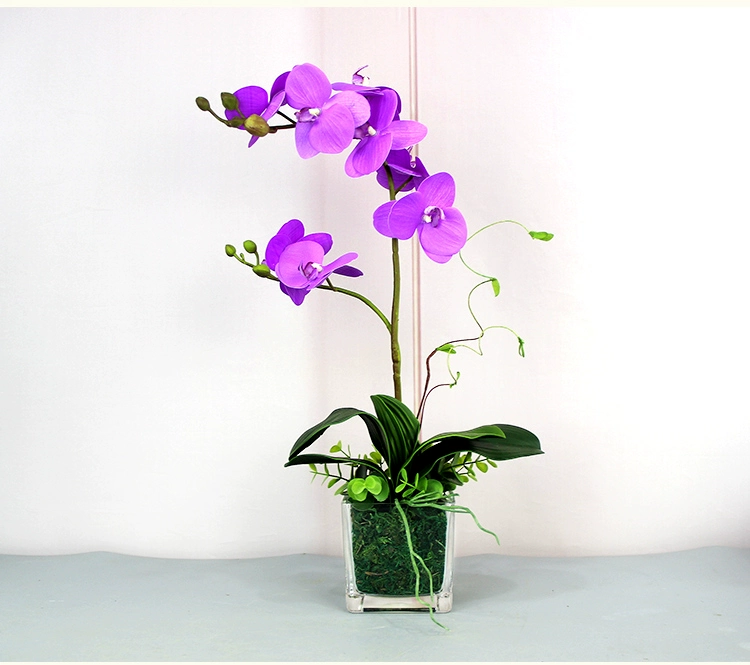 Chất lượng cao Phalaenopsis hoa nhân tạo hoa nhân tạo phòng khách bàn ăn bàn cà phê bình hoa trang trí tủ TV hoa trang trí - TV