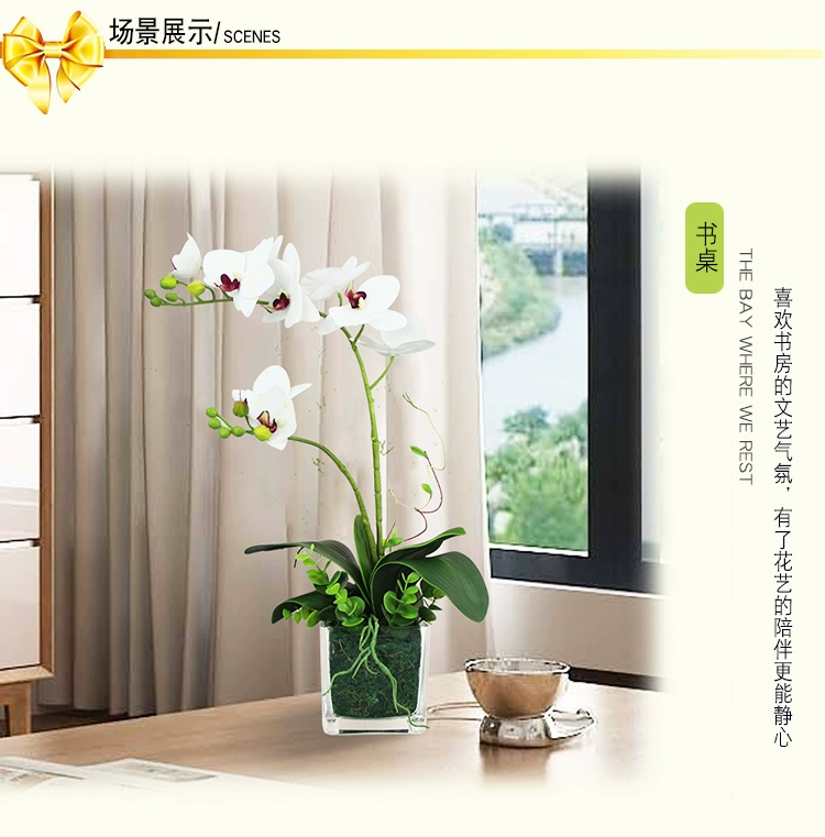 Chất lượng cao Phalaenopsis hoa nhân tạo hoa nhân tạo phòng khách bàn ăn bàn cà phê bình hoa trang trí tủ TV hoa trang trí - TV