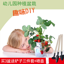 diy Baby Kindergarten Mini Plant Planting Operations Observation Childrens small pot farm floral canned flowers