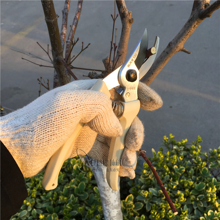 Taiwan imported Sagawa Yoshiyoshi 130 gardening scissors Pruning shears Fruit tree shears pruning shears Bonsai shears coarse branch shears