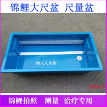 Brocade Carp Measuring Basin Dragon Fish Exclusive Blue Basin 1 2 m Square Basin Measuring Scale Waterproof Metric Pool Therapeutic Basin