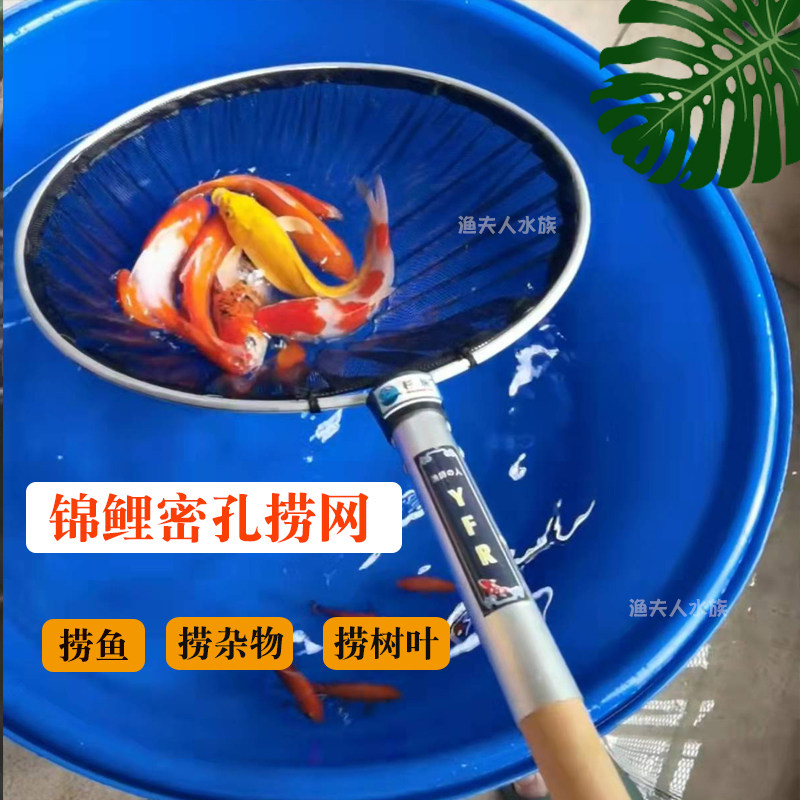 Cedar netting gin carp nets ornamental fish web pocket wood handle fishing nets telescopic plagiarism nets do not hurt the fish bailing leaves net