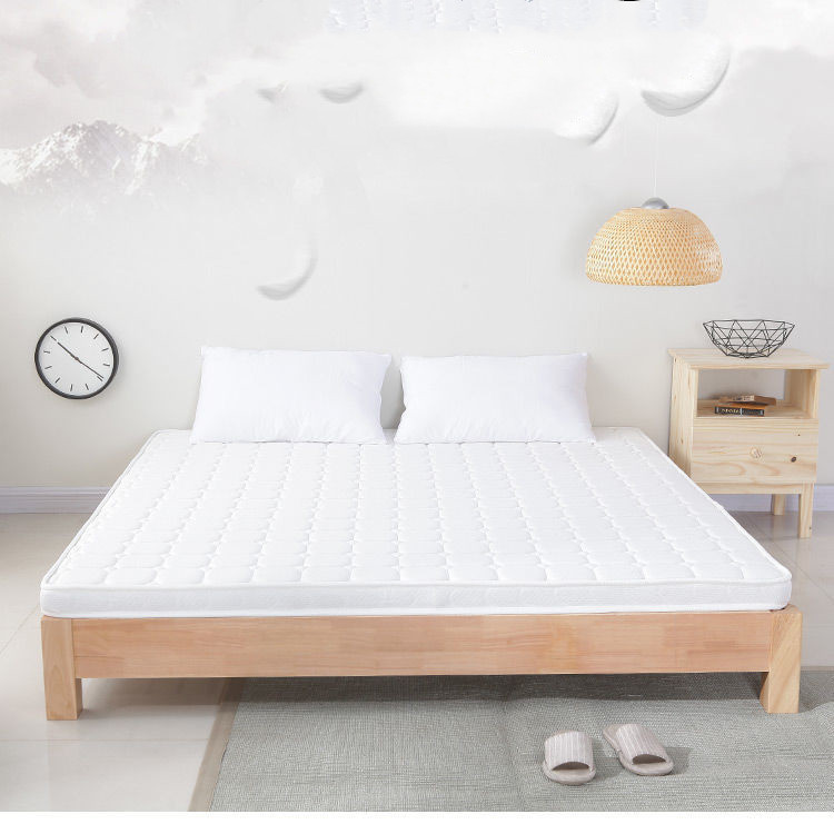 榻榻米床垫定做椰棕塌塌米垫子订做 热品库 性价比省钱购