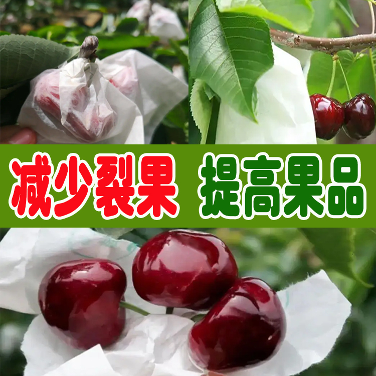 Cherry Bag Set, Large Cherry Bagging Bags, Special Bags Made from Wood Pulp, Cherry Fruit Bags, Paper Bags, Insect-Proof, Bird-Proof, Waterproof