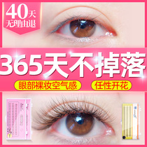 One second blossom grafting false eyelashes paste self-attached set natural simulation of beautiful eyelashes single-root segmented super soft hair