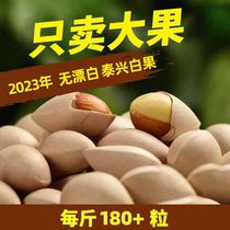 手工挑选农家大果泰州特产2023泰兴大佛指白果银杏果新鲜生白果