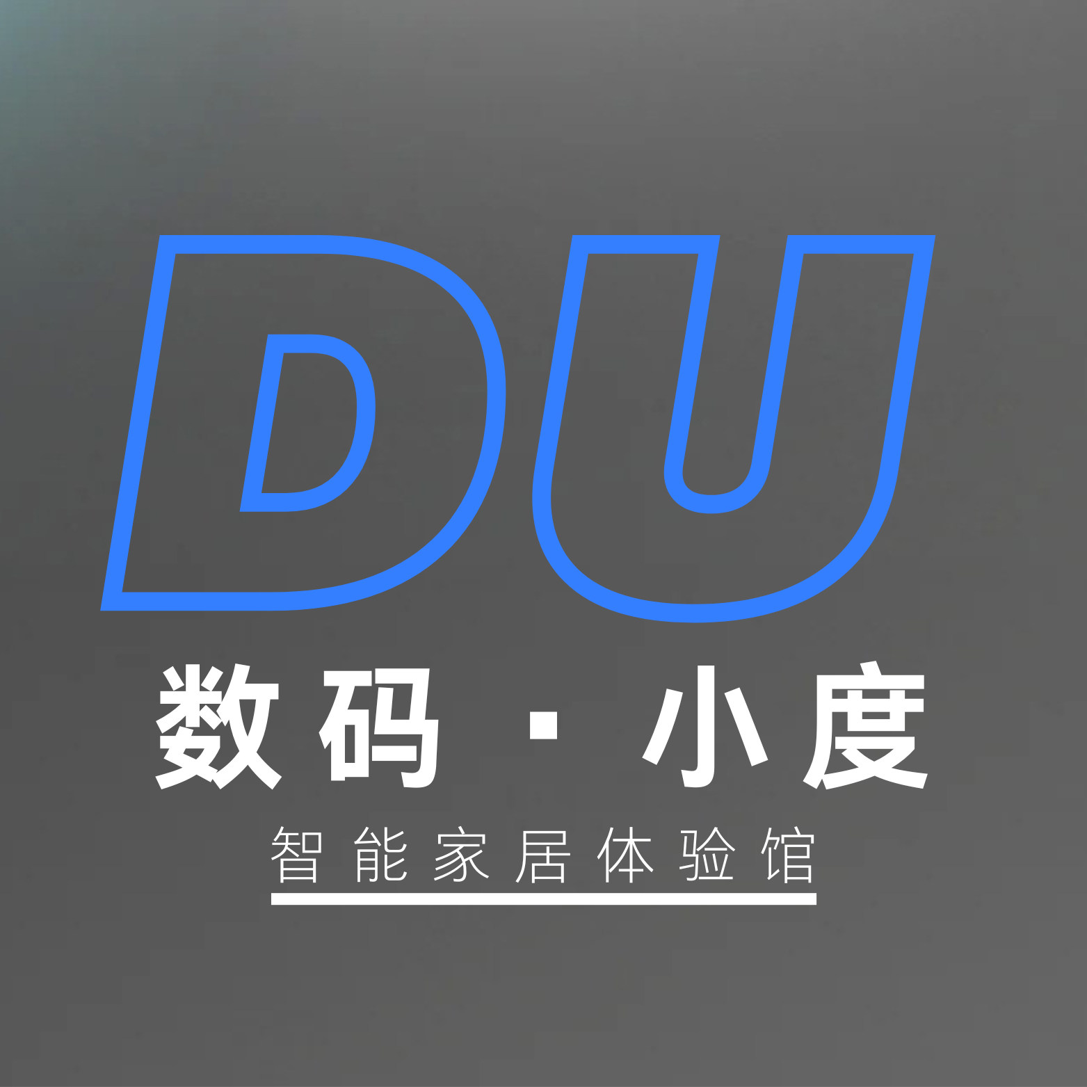 数码小度智能家居
