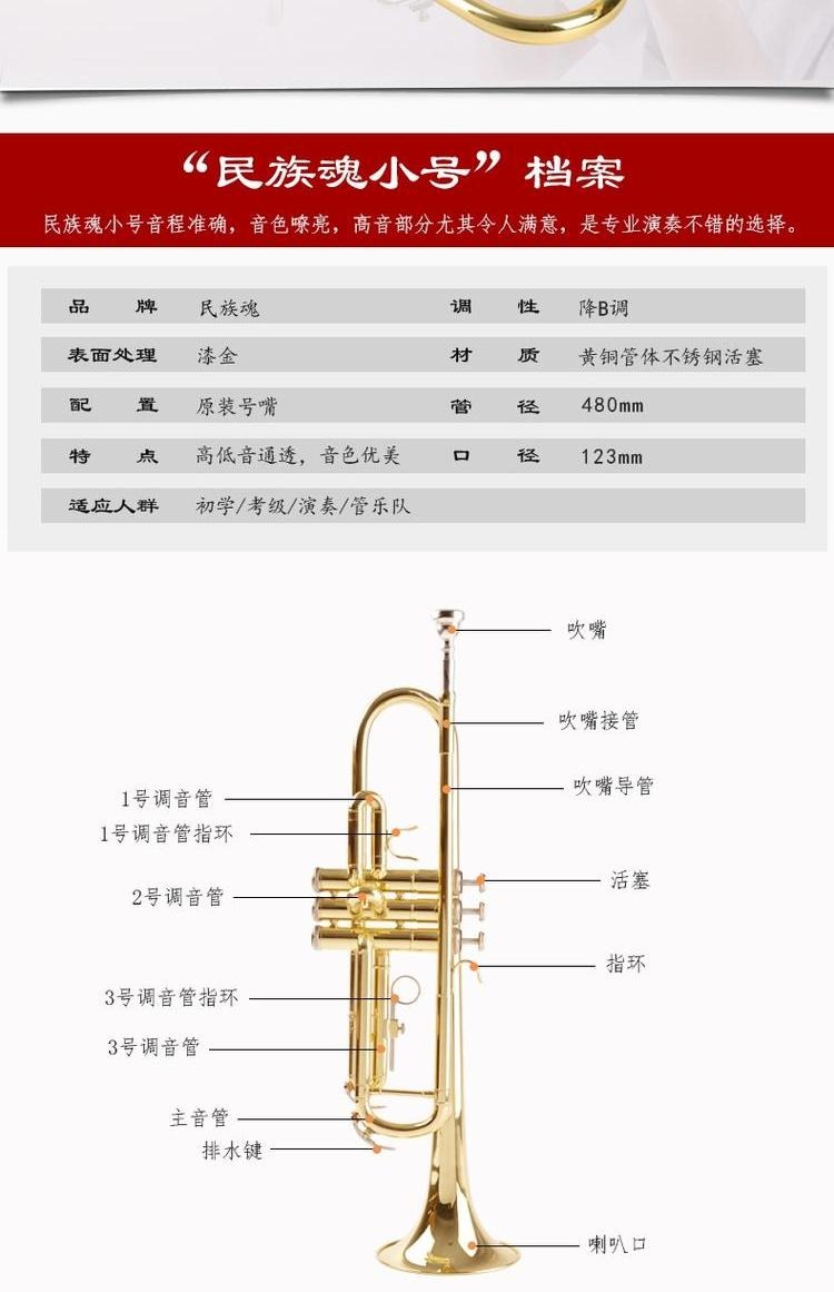 Nhạc cụ đồng thau phương Tây nhỏ thả b nhỏ đồng thau sơn mài vàng học sinh chuyên nghiệp trình độ - Nhạc cụ phương Tây kèn trumpet