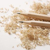 Log Pencil Suit HB Pencil Student Writing Hexagon 2B Pencil Children Toddler Stationery Suit Study Supplies