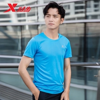 9158 Озеро синий [модель быстрого сушки]