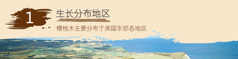 实木材料解析_32.jpg