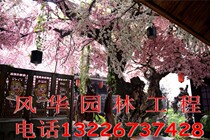 Customized large-scale rockery and flowing water landscape ecological door head production indoor cave cave landscaping childrens paradise landscape