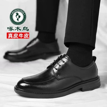 Woodpecker Leather Shoes for Men, Genuine Leather Business Formal Wear, British Style Casual Soft-Soled Leather Shoes, Winter Fleece-Lined Wedding Groom Shoes