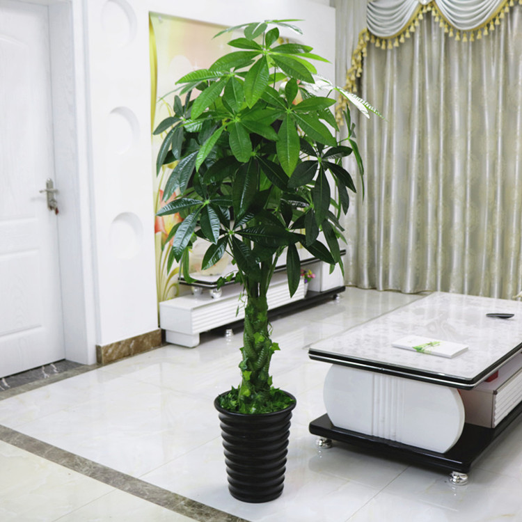 Mô phỏng cây tài lộc cây hoa giả phòng khách cây giả sàn lớn hoa nhựa chậu hoa xem chậu trang trí - Hoa nhân tạo / Cây / Trái cây cây hoa giả trang trí trong nhà