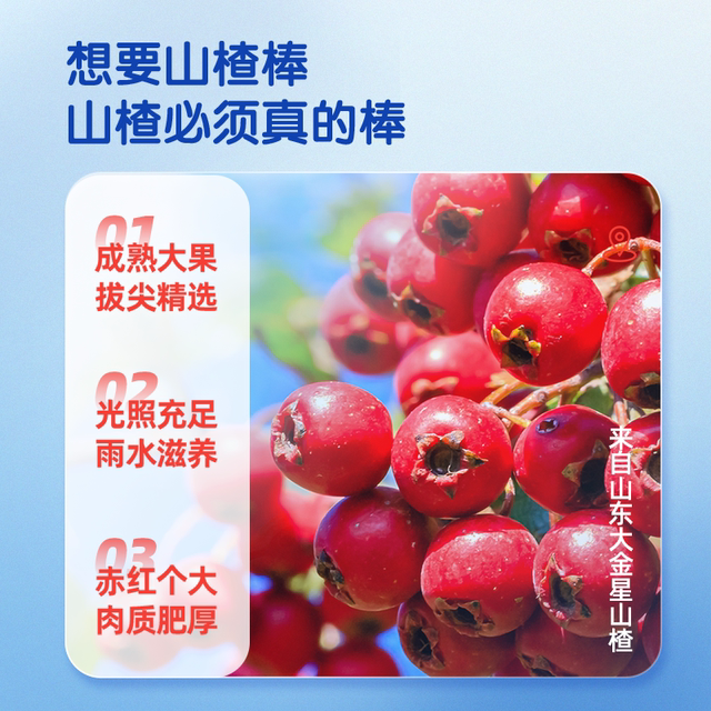 Little Deer Blue Blue Six-Ingredient Hawthorn Fruit Stick Children's Nutritional Hawthorn Stick with Yam and Poria