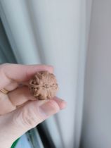 Natural wild Wenwan Pecan Xiaoqiuzi thick ribs and eight ridges to play with handpieces hand-held bracelets for men and women