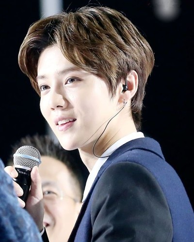 Perruque Harsh pelucheux confirme - Ref 2608147 Image 10