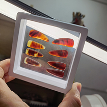 Book-making College Straight Edition Guzheng Fingernail Professional models Shaking Fingers of the Divine Instrumental Straights Hawksbill Sea Turtle color Yivingga Great Code Gold