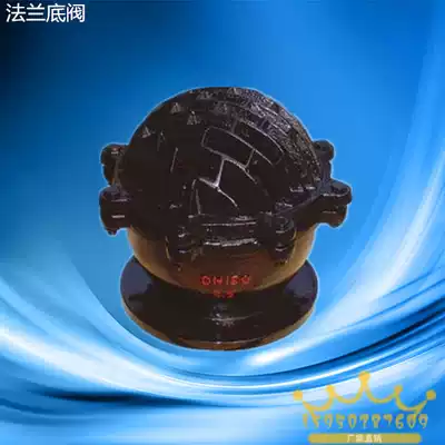 H42X-6 flange bottom valve check valve check valve cast iron water pump bottom valve DN80 100 150