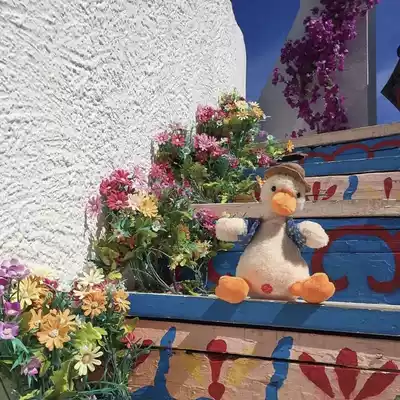 Douyin sand sculpture repeat duck birthday gift to send teacher boy girlfriend girlfriend classmate creative decompression spoof smile