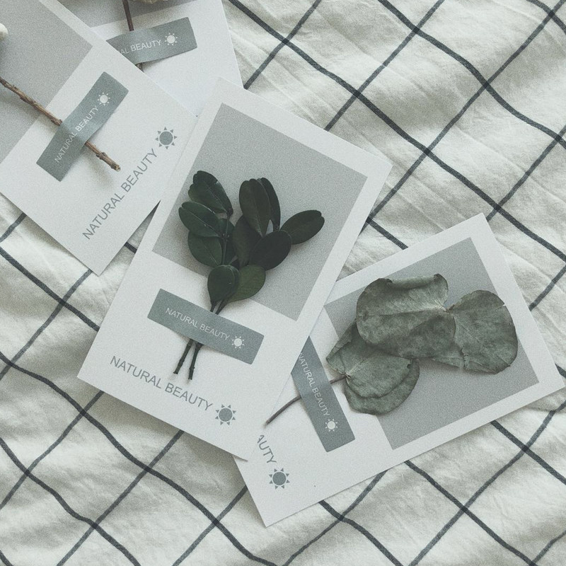 Valentine's Day birthday card diy card Korean creative birthday plant greeting card handmade literary men and women's festival