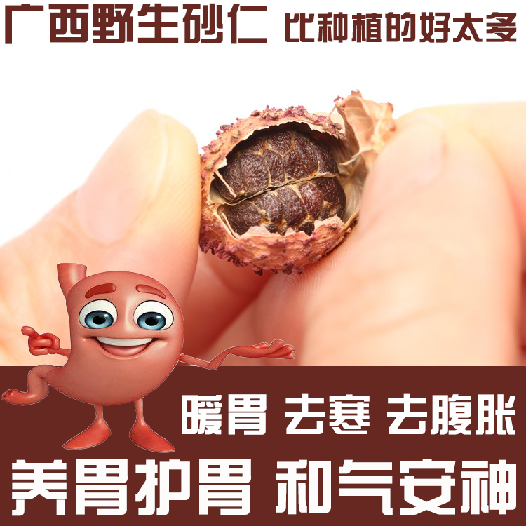 Guangxi 100,000 Dashan farmhouse specialties authentic wild raw sun-dried fruit sand kernel non-Yang Spring Sand kernel nourish stomach 50g