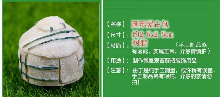 Trang trí mọng nước đồ trang trí làm vườn cung cấp đồ trang trí nhỏ micro cảnh quan lâu đài thịt hoa nồi DIY vật liệu nhựa dụng cụ làm vườn chuyên nghiệp