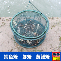 Fish net Shrimp cage Catch fish cage Folding fishing net Fishing net Lobster net Shrimp cage Flutter fish hand throw net Small fish net round