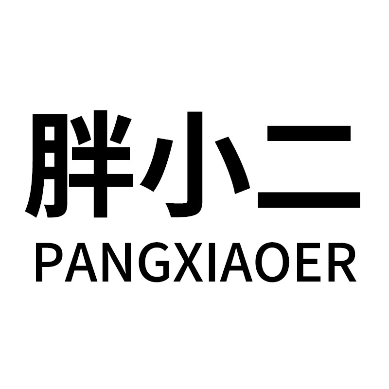 胖小二品牌清洁护理大王