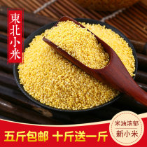 2021 Northeast yellow millet 500g new millet grains baby pregnant women cooking porridge rice farm home-grown small yellow rice