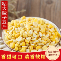 2021 Northeast Sticky Corn Large Ballast 5 catties Heilongjiang Corn Ballast vacuum packed corn Crushed Corn Rice Stubble
