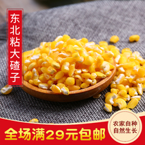 2020 Northeast Sticky Corn Dachnus 500g New Corn Freshman Farmers