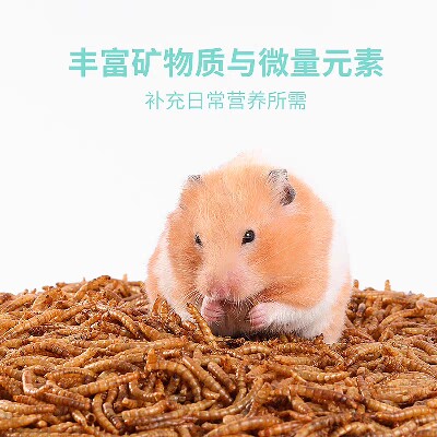 大美宠物店