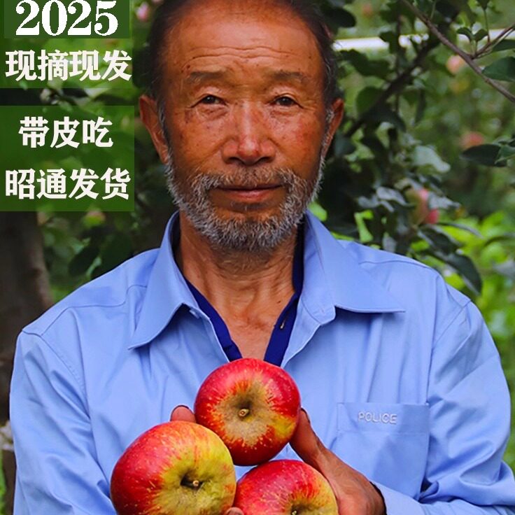 11年老店我为家乡卖苹果无分店的LOGO