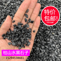 Natural black stone Black dry landscape stone Black Stone black stone rice black machine grinding stone small pebble black pebble direct sale
